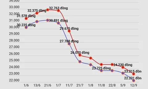 Chuyên gia: Xây dựng thị trường xăng dầu thực thụ, đi theo cung cầu