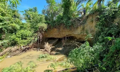 Ninh Thuận: Sạt lở bờ sông Dinh, hàng chục hộ dân ngày đêm lo lắng