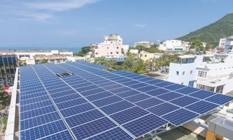 Phó Thủ tướng: Xử lý dứt điểm các kiến nghị của Nhà máy điện mặt trời tại xã Phước Minh (Ninh Thuận)