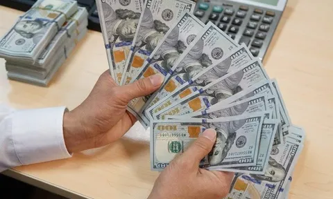 Ngân hàng Nhà nước điều chỉnh biên độ tỷ giá lên ±5% từ ngày 17/10