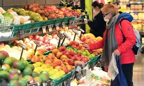 IMF cảnh báo triển vọng kinh tế châu Âu đang ngày một xấu đi