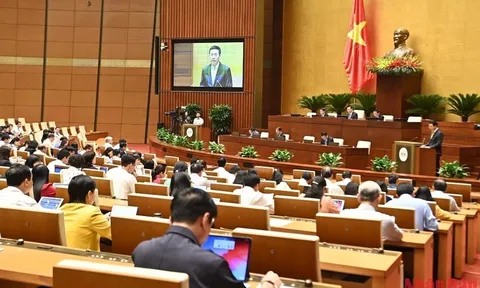 Tạo hành lang pháp lý thuận lợi cho việc chuyển đổi các hoạt động sang môi trường số