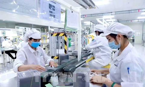 Một số chính sách kinh tế mới có hiệu lực từ tháng 11 tới
