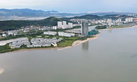 Ý kiến của Phó Thủ tướng Lê Văn Thành về dự thảo Nghị định quy định về lấn biển