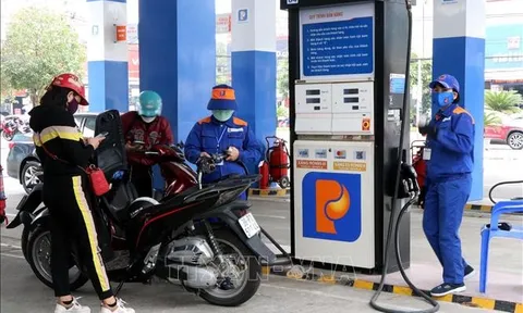 Nghiên cứu đề xuất giải pháp điều hành xăng dầu