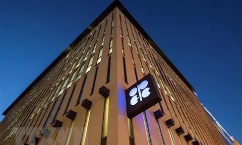 OPEC nâng dự báo nhu cầu dầu mỏ thế giới trong trung và dài hạn
