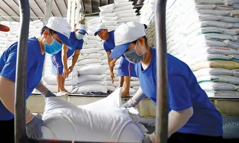 Tổng khối lượng gạo xuất khẩu trong 10 tháng vượt 6 triệu tấn