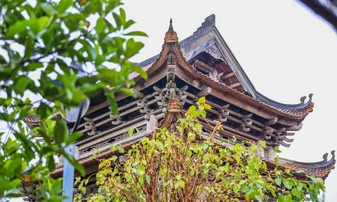 Khám phá chùa Keo - ngôi cổ tự đẹp bậc nhất Việt Nam