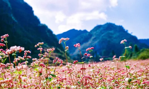 Những điểm du lịch tuyệt vời ở Việt Nam phải đến vào mùa Thu