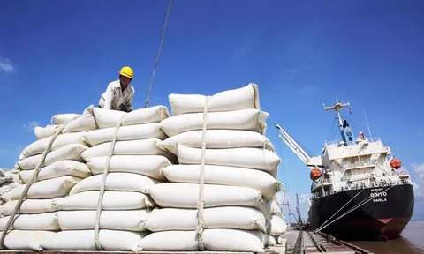 Xuất khẩu gạo liên tục đón nhận tin vui