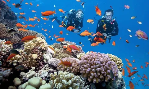 Khánh Hòa ban hành kế hoạch tổng thể phục hồi vịnh Nha Trang