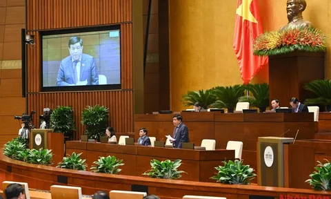 Hoàn thiện các quy định pháp luật về đấu thầu trong lĩnh vực y tế