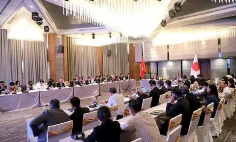 Thúc đẩy hợp tác du lịch Việt Nam - Nhật Bản giai đoạn 2022-2024