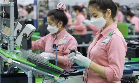 Khuyến khích các tập đoàn hàng đầu của Hàn Quốc triển khai các dự án quy mô lớn tại Việt Nam