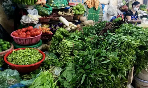 Hà Nội: Thời tiết trở lạnh, rau xanh bất ngờ tăng giá tại các chợ