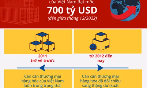Thứ hạng xuất nhập khẩu của VN có thể được nâng cao trên toàn cầu