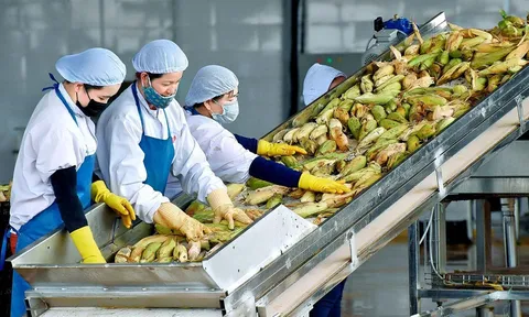 Tận dụng cơ hội, đẩy mạnh xuất khẩu nông sản