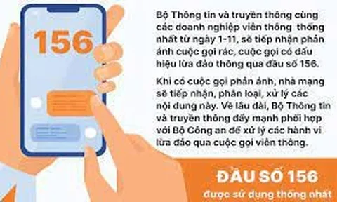 Đầu số 156: Tra cứu thông tin tên miền, phản ánh miễn phí cuộc gọi rác