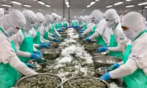Tận dụng hiệu quả các FTA: “Chìa khóa” cho xuất khẩu hàng hóa năm 2023