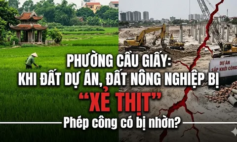 Phường Cầu Giấy: Khi đất dự án, đất nông nghiệp bị “XẺ THỊT” - Phép công có bị nhờn?