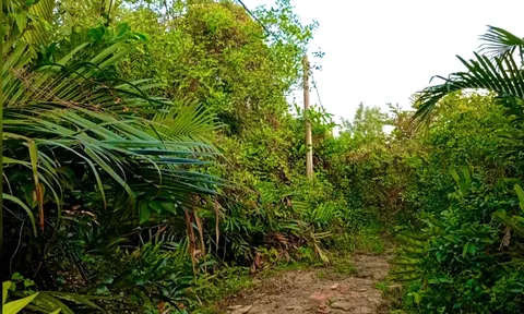 TP.HCM: Tranh chấp đất tại phường Long Trường, nhiều nghi vấn cần làm rõ