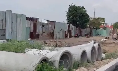 Kỳ án đấu giá 7,8 ha đất tại TP.HCM: Những cuộc “xẻ thịt” tài sản bất thường