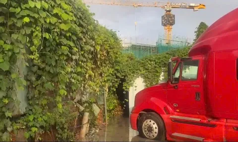 The 9 Stellars do Sơn Kim Land phát triển người dân phường Long Bình “kêu cứu” cứ mưa là ngập úng kéo dài