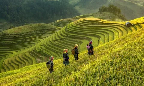 Nghỉ lễ 2/9: Tour ngắn ngày “cháy” hàng sớm