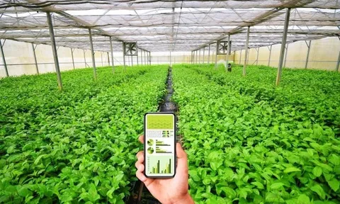 Chuyển đổi số - Động lực phát triển kinh tế hợp tác, hợp tác xã trong kỷ nguyên mới