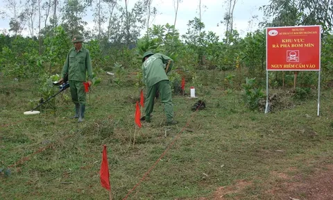 Khẩn trương tổng kết thi hành quy định pháp luật về khắc phục hậu quả bom mìn sau chiến tranh