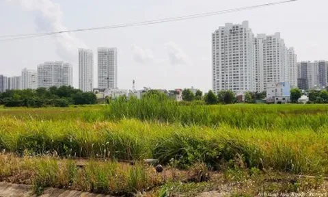 Rà soát các bất cập của hệ thống thông tin đất đai