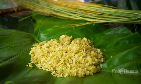 Hà Nội mùa thu – gói chút tình trong hương cốm thơm nồng