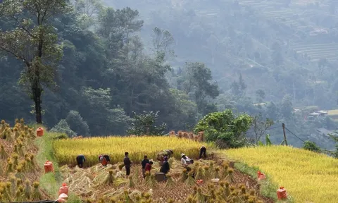Khám phá nét văn hóa độc đáo của người Cờ Lao đỏ ở Hà Giang