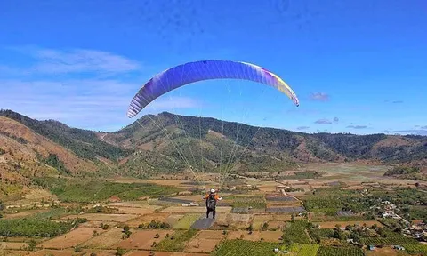 Gia Lai: Tuần lễ hoa dã quỳ-núi lửa Chư Đăng Ya năm 2022