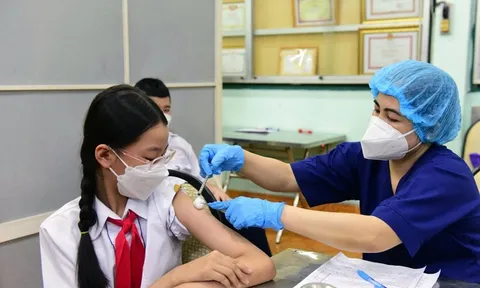 Kết luận của Phó Thủ tướng Vũ Đức Đam tại cuộc họp về kế hoạch tiêm chủng vắc xin phòng Covid-19