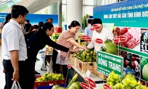 Thúc đẩy doanh nghiệp tham gia trực tiếp các mạng phân phối nước ngoài
