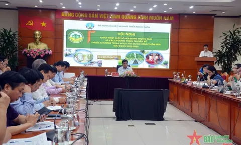 Chương trình Mục tiêu quốc gia xây dựng nông thôn mới giai đoạn 2021-2025