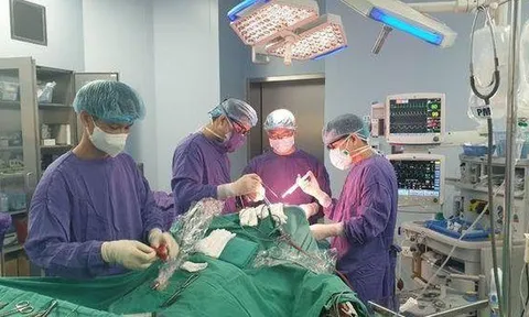 Cảnh báo biến chứng xuất huyết não khi mắc sốt xuất huyết
