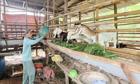 Giảm nghèo bền vững từ nguồn vốn chính sách