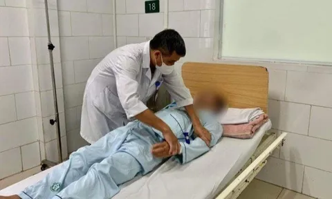Cảnh báo ngộ độc do nhiễm độc tố ciguatera trong cá chình