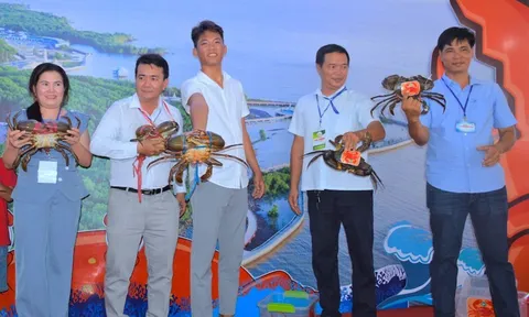 Xác lập nhiều kỷ lục tại Ngày hội Cua Cà Mau