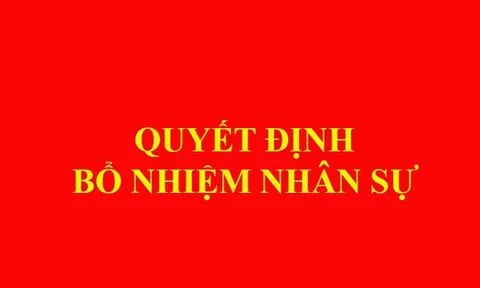 Thủ tướng Chính phủ quyết định nhân sự 3 cơ quan