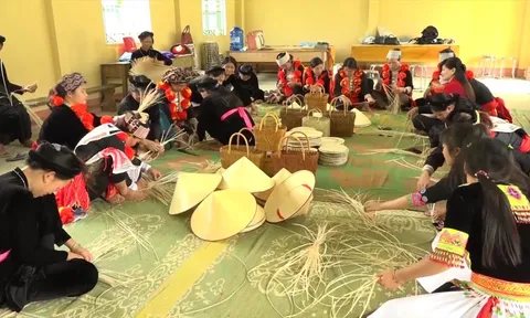 Hỗ trợ hợp tác xã do phụ nữ tham gia quản lý và tạo việc làm cho lao động nữ