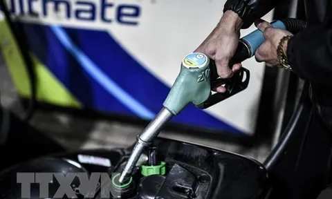 Giá dầu lao dốc, giá khí đốt châu Âu xuống thấp nhất kể từ năm 2021