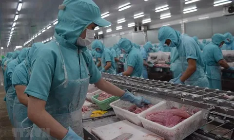 Dự báo lợi nhuận doanh nghiệp thủy sản giảm trong năm 2023