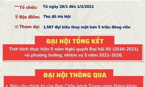 Đại hội lần thứ XIII của Đảng