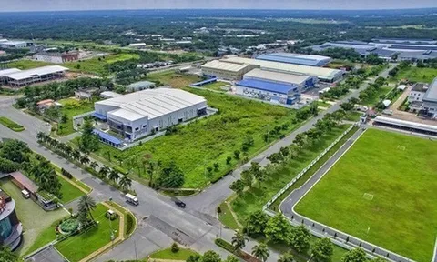Giảm tiền thuê đất, thuê mặt nước với các đối tượng bị ảnh hưởng bởi dịch COVID-19