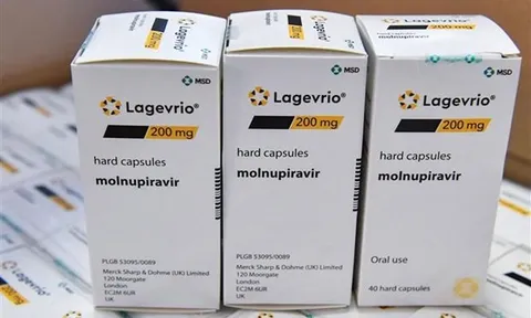 Hãng Merck dự báo giảm mạnh doanh thu từ thuốc chữa COVID-19