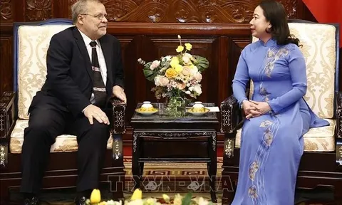 Việt Nam mong muốn tăng cường hơn nữa quan hệ với Brazil