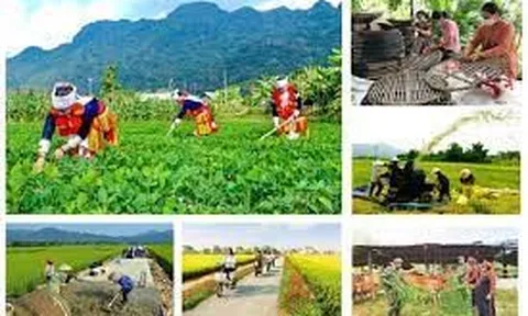 Tháo gỡ khó khăn trong triển khai thực hiện các chương trình mục tiêu quốc gia